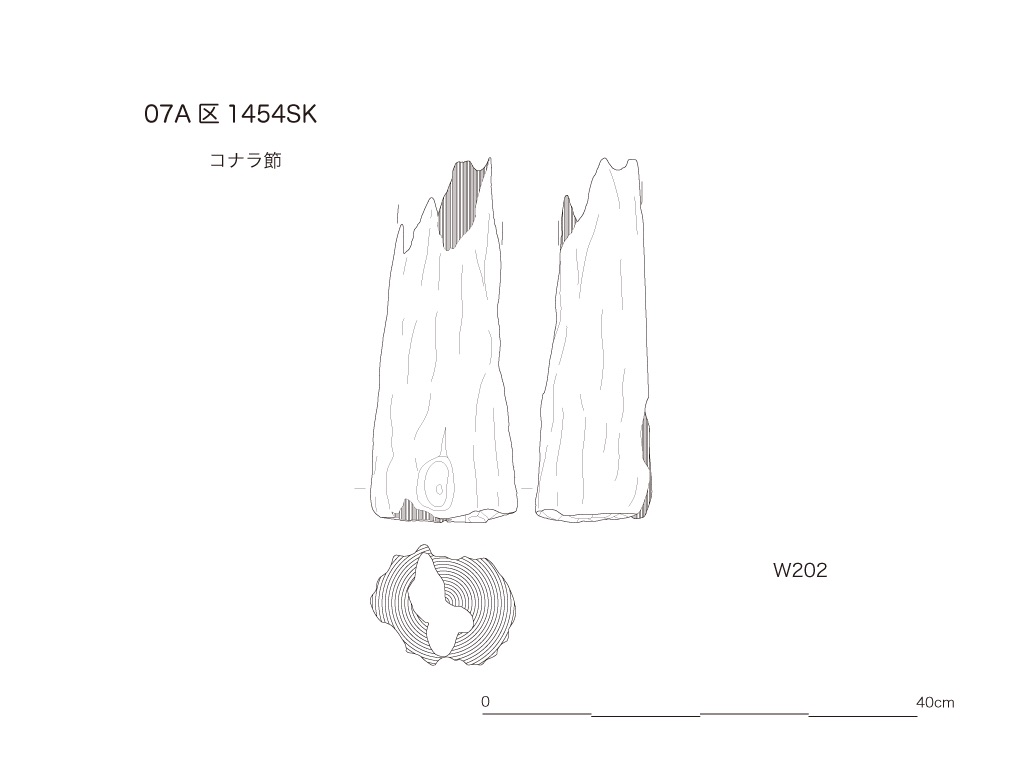 図版画像