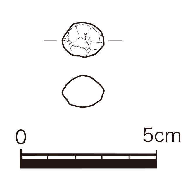 図版画像