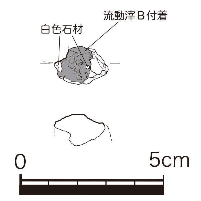 図版画像