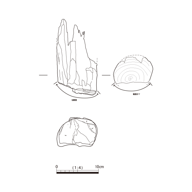 図版画像
