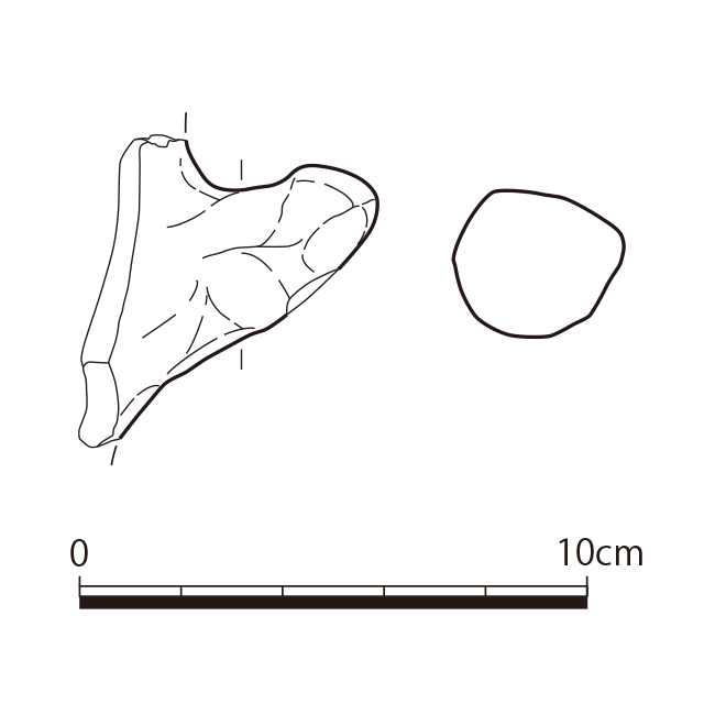 図版画像