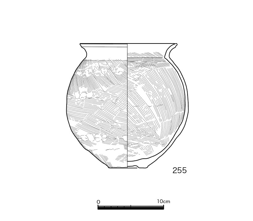 図版画像