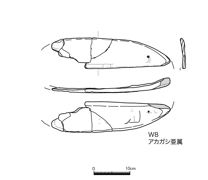 図版画像