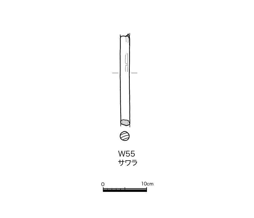 図版画像