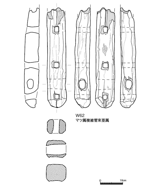 図版画像