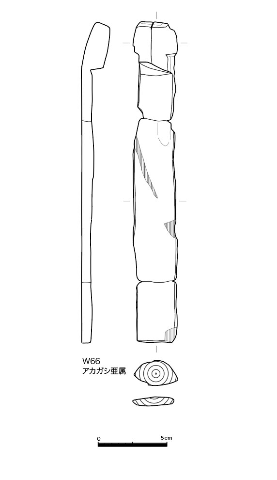 図版画像