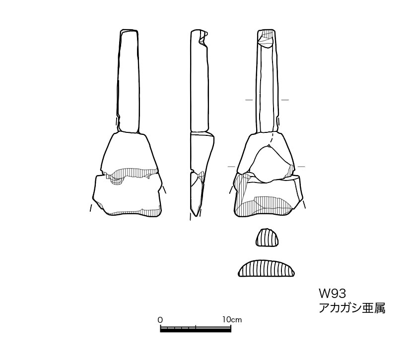 図版画像