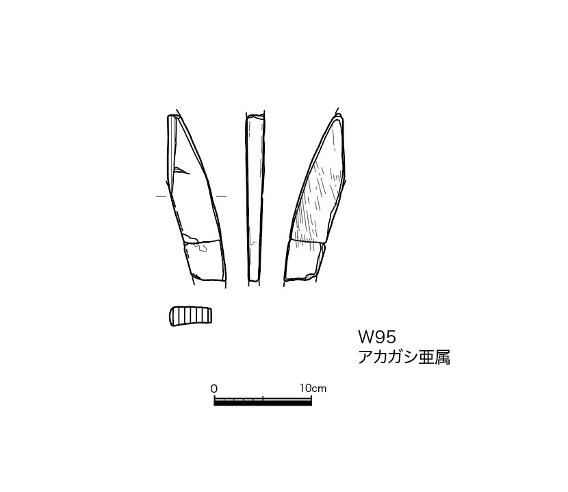 図版画像