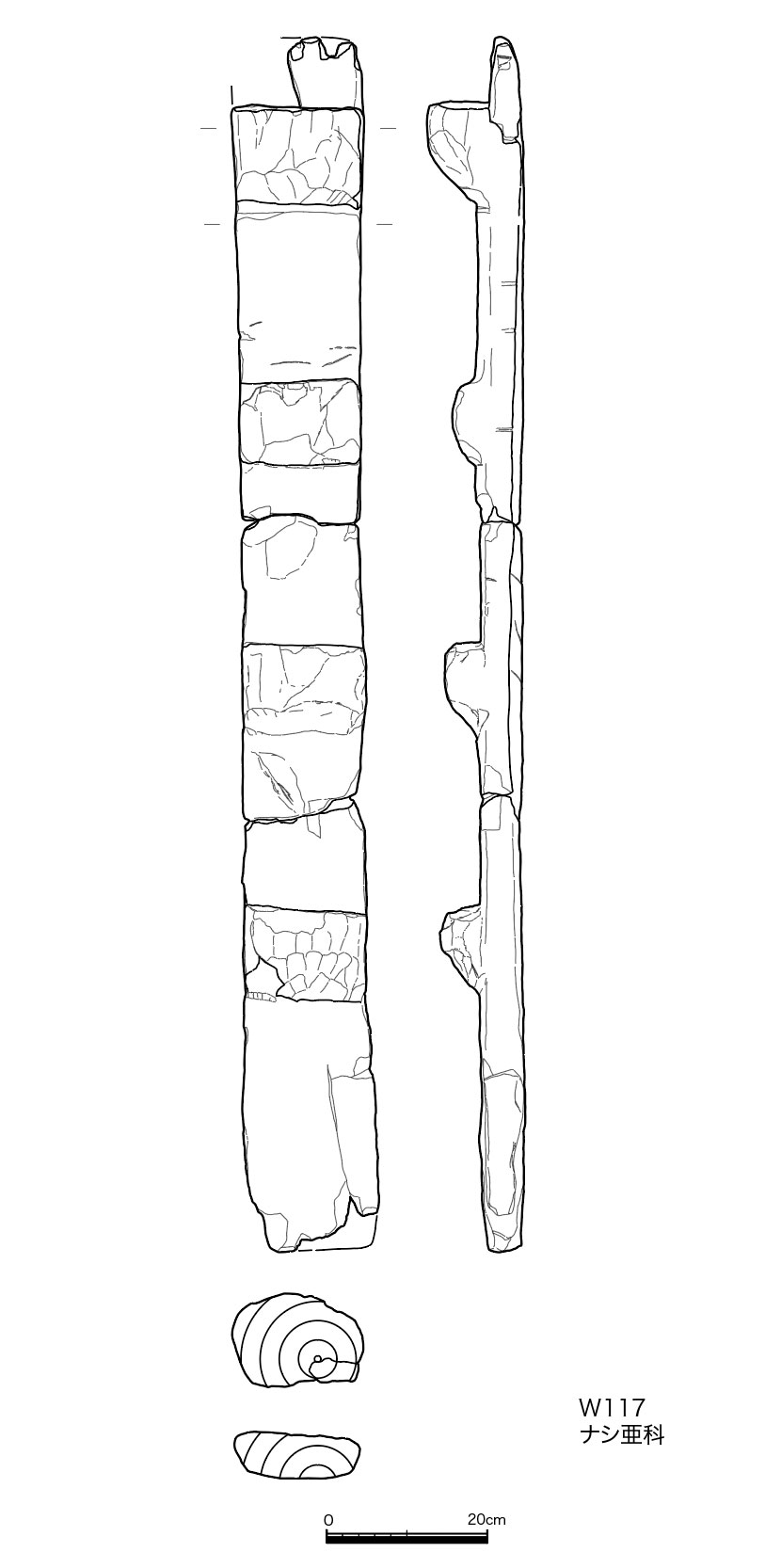 図版画像