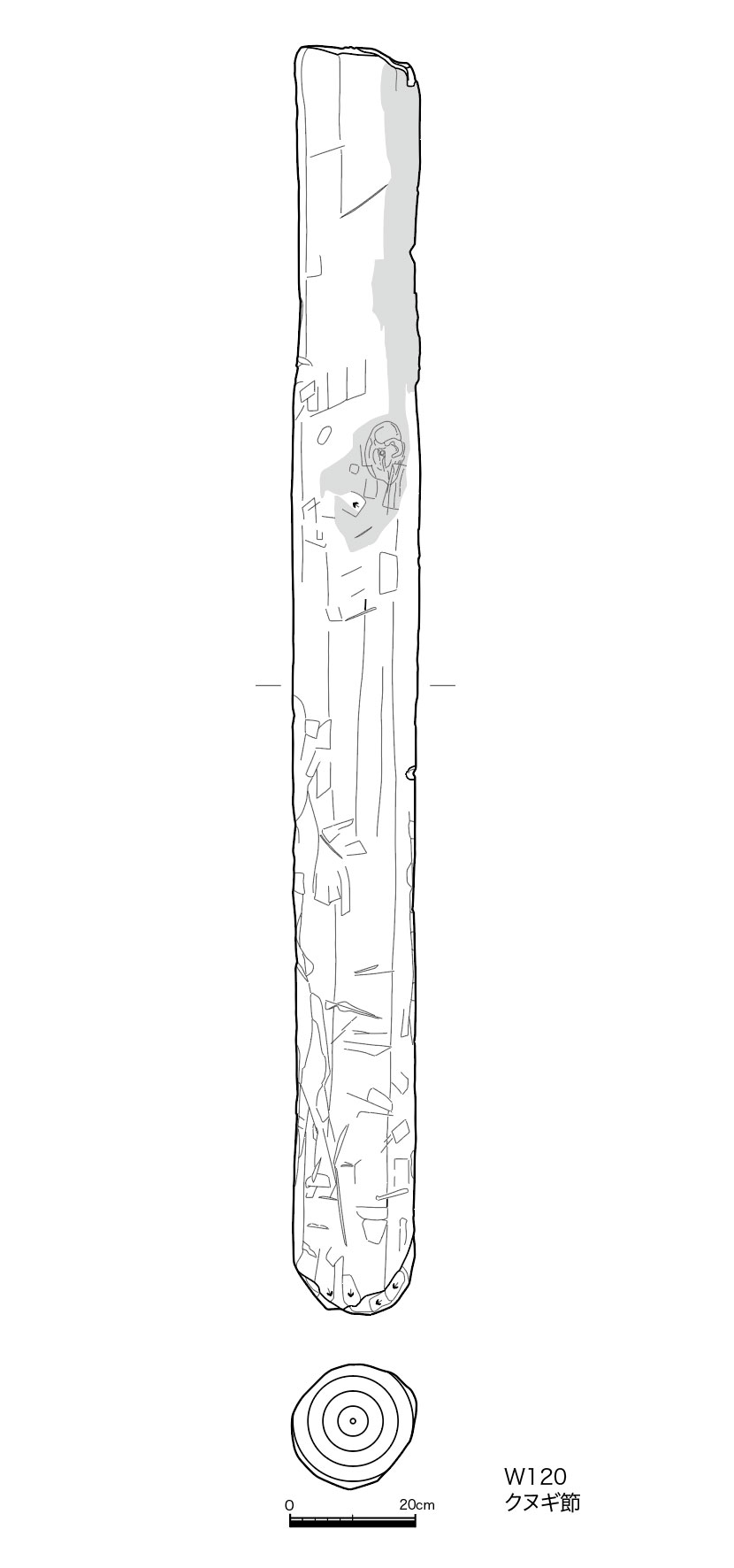 図版画像