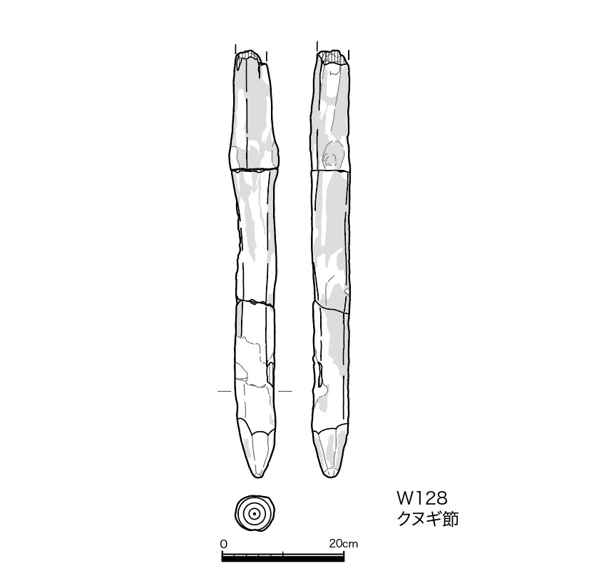 図版画像