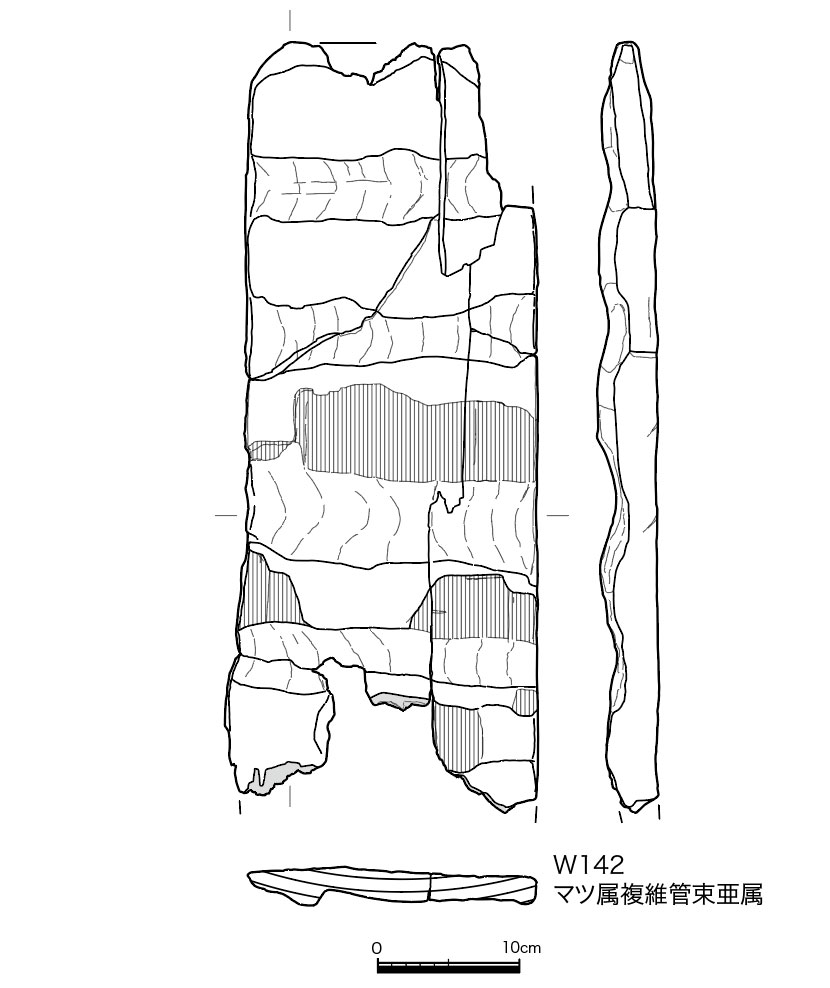 図版画像