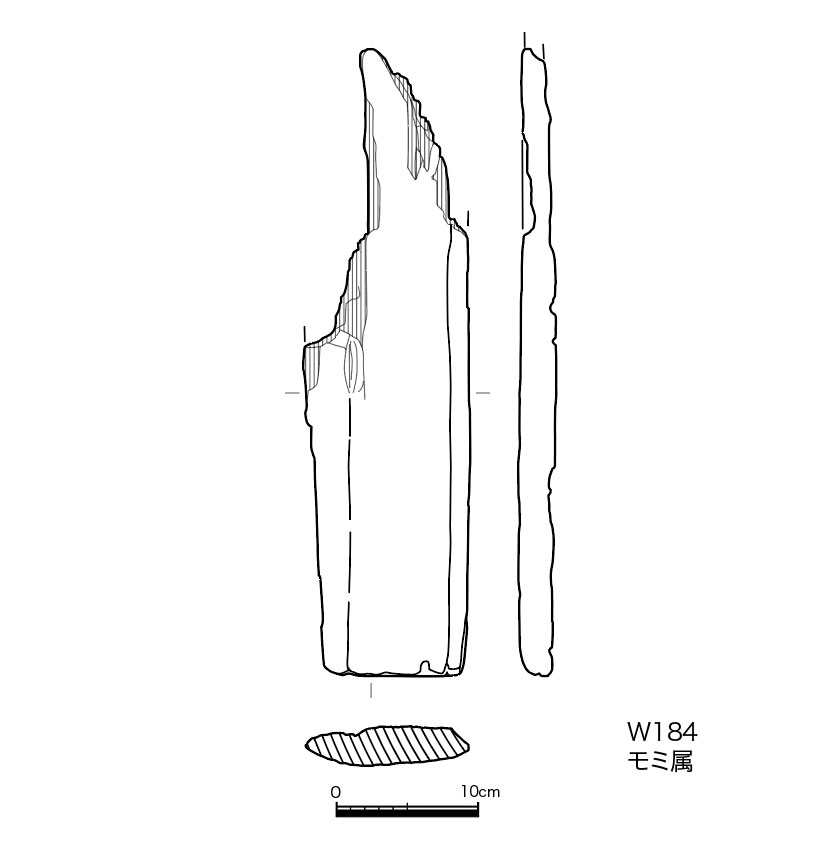 図版画像