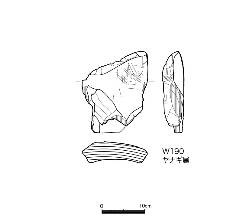 図版画像