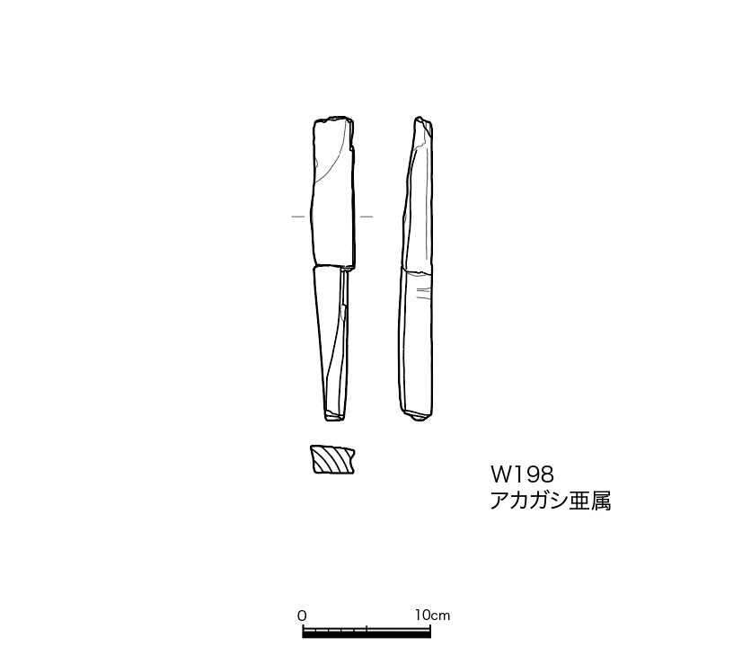 図版画像