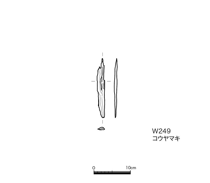 図版画像