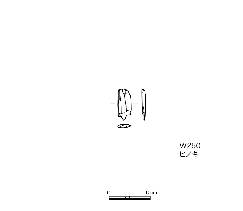 図版画像