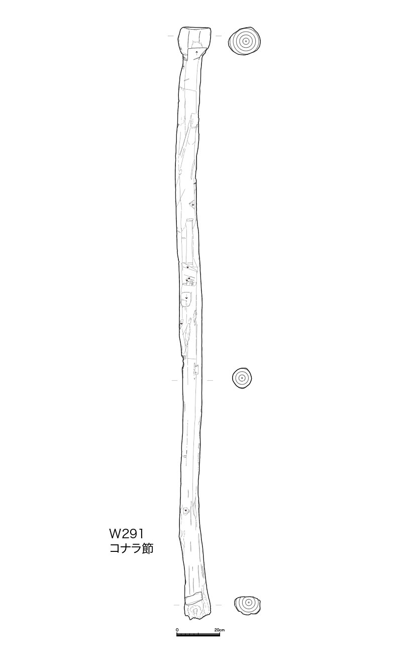 図版画像
