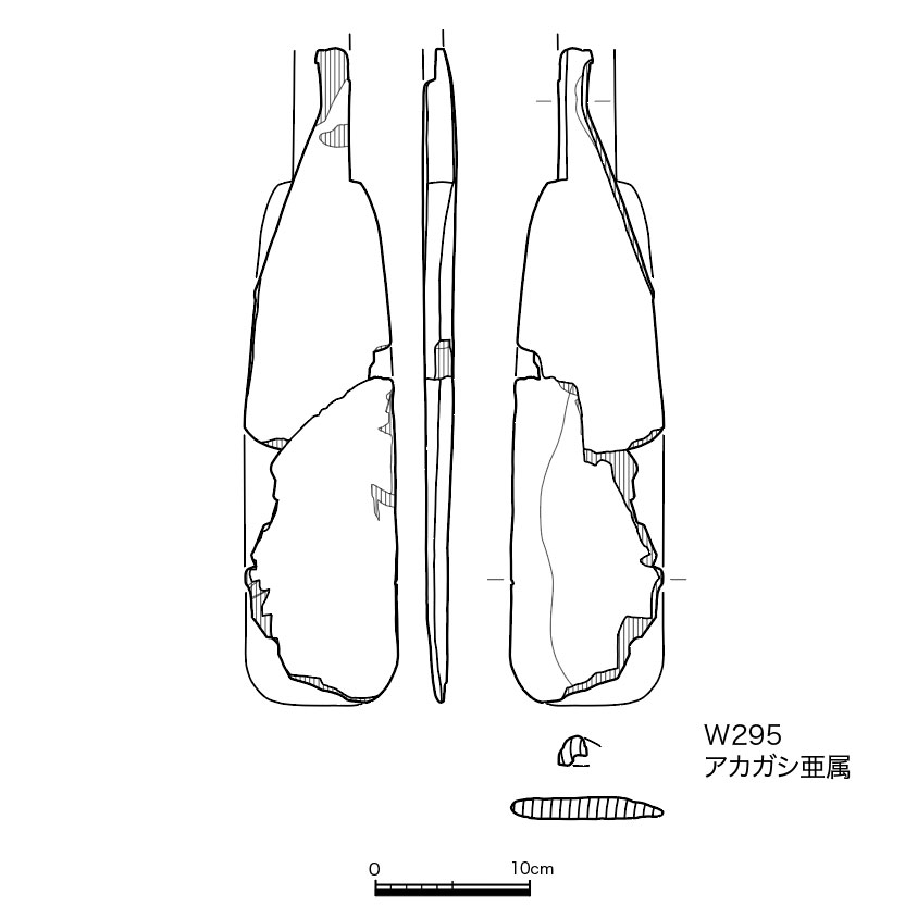 図版画像