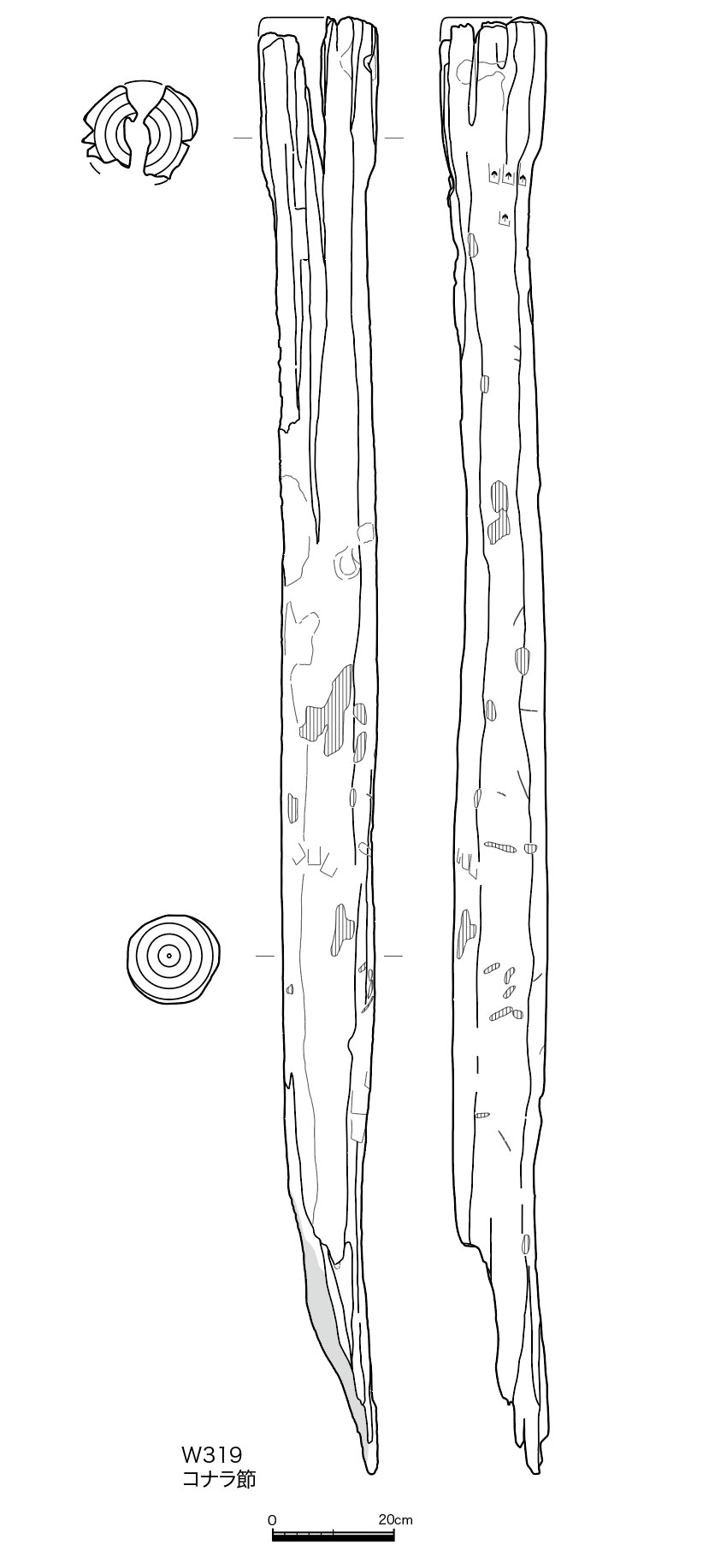 図版画像
