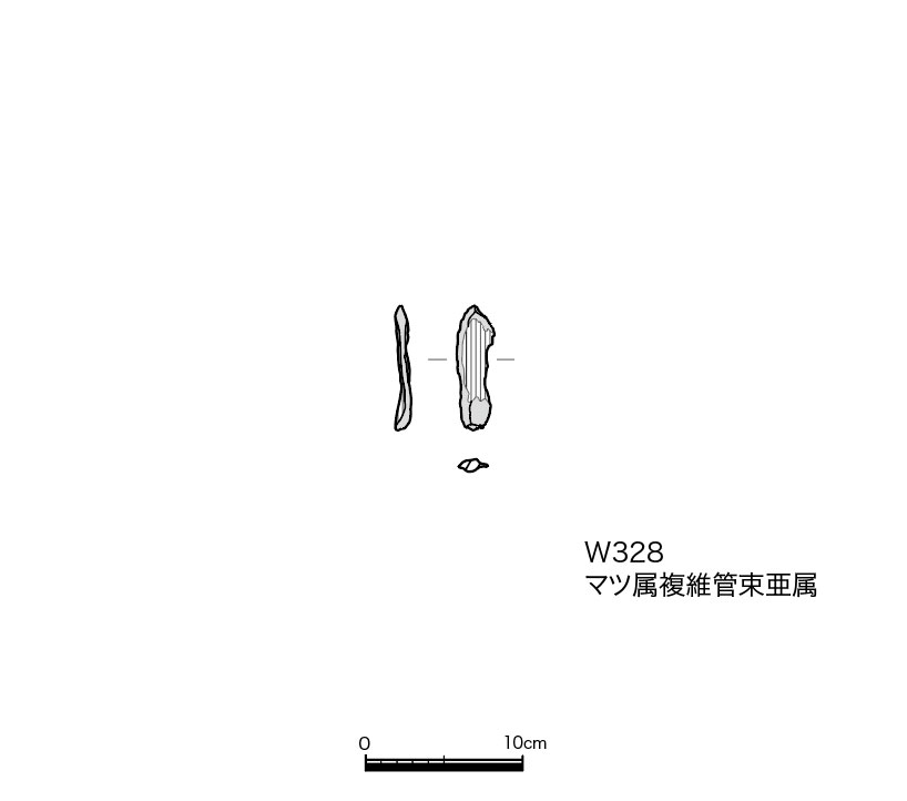 図版画像