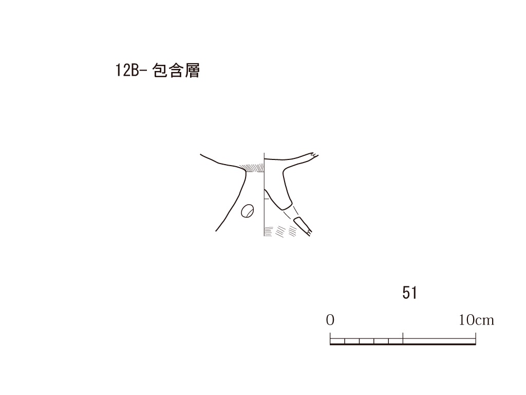 図版画像