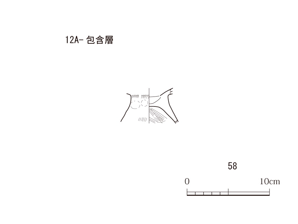 図版画像