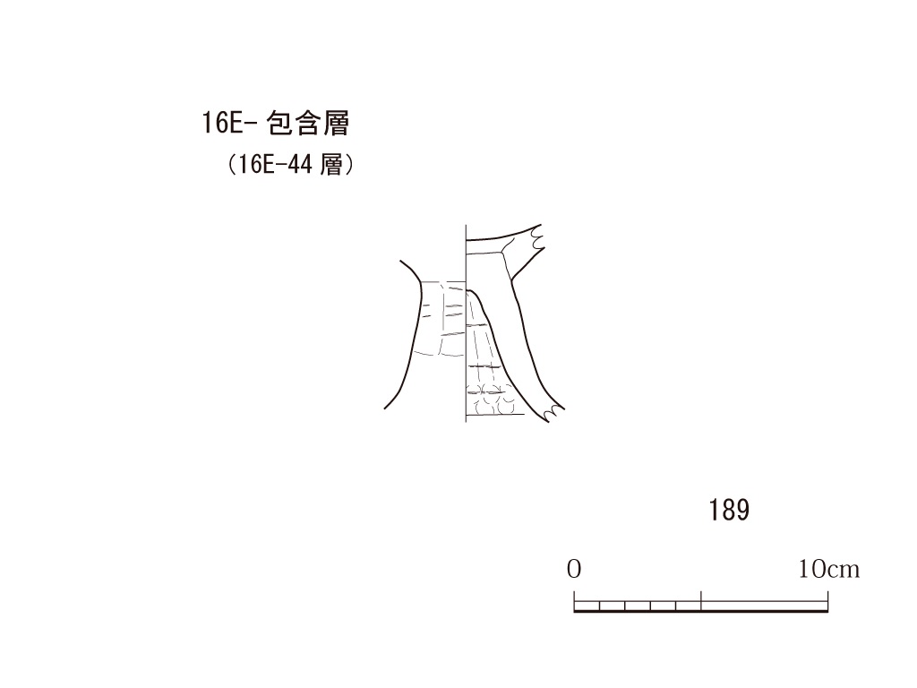 図版画像