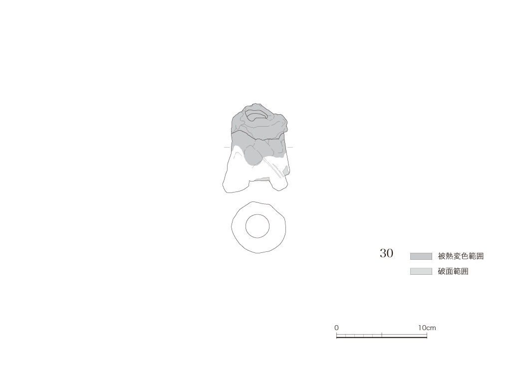 図版画像