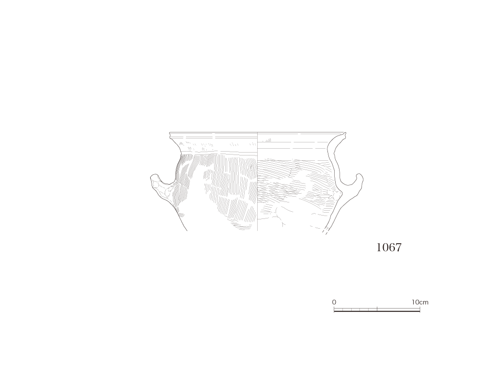 図版画像