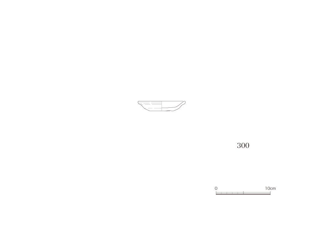 図版画像