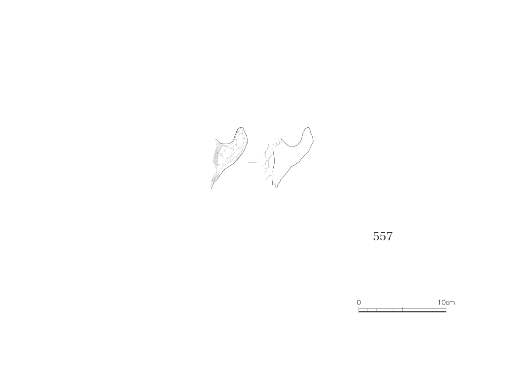 図版画像