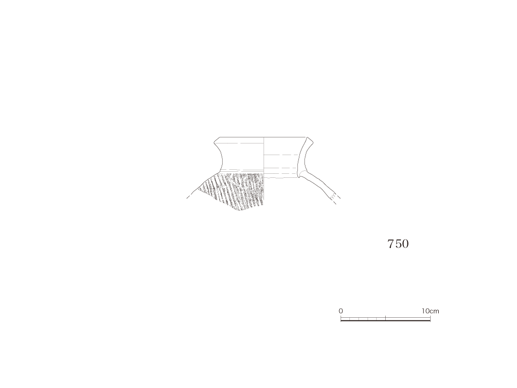図版画像