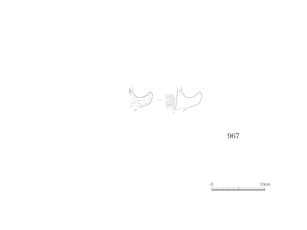 図版画像