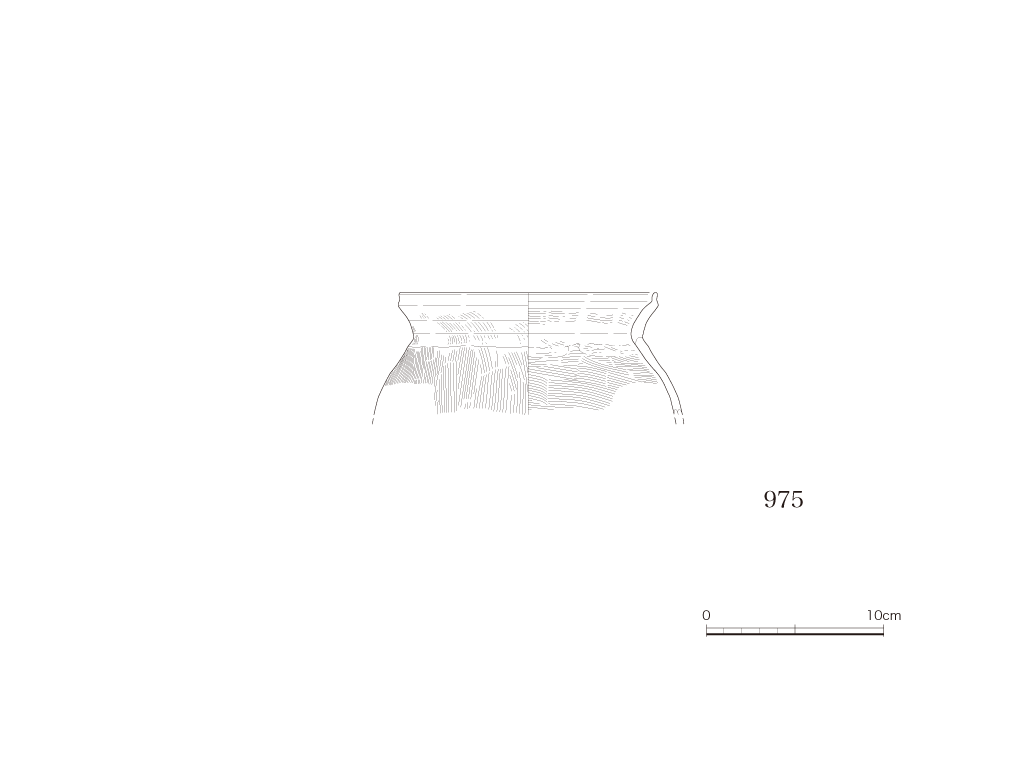 図版画像