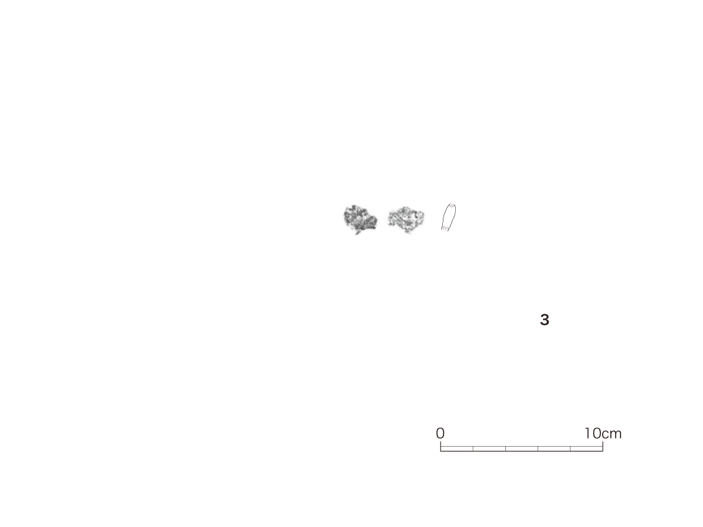 図版画像