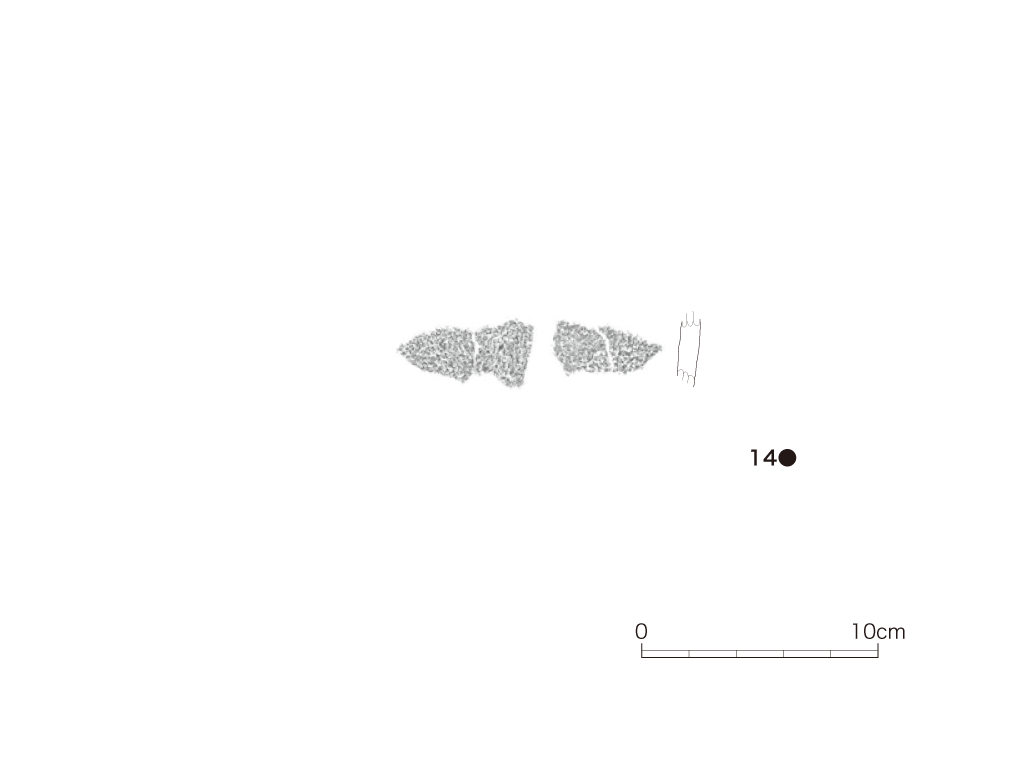 図版画像