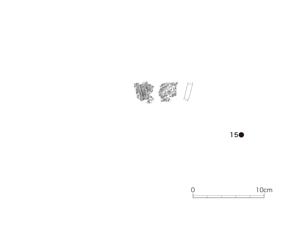 図版画像