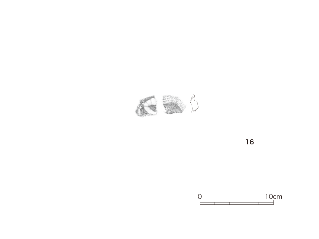 図版画像