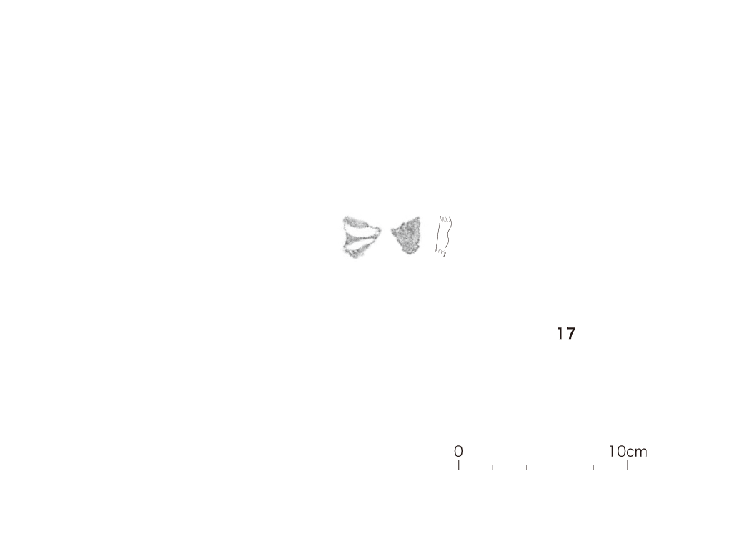 図版画像