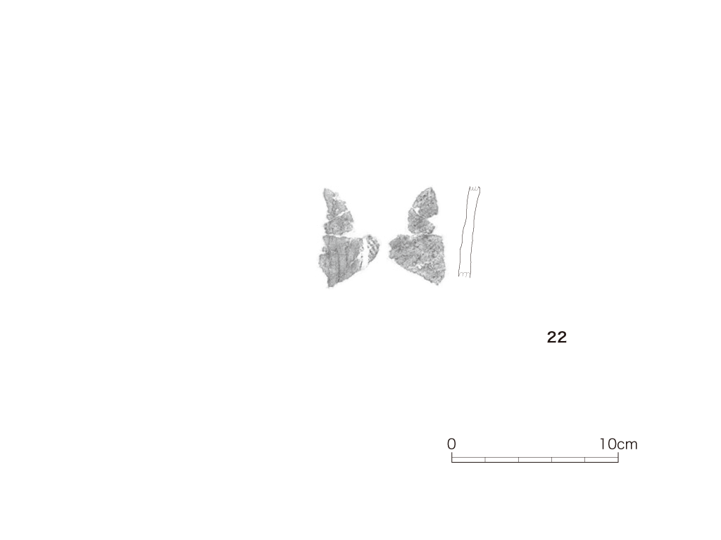 図版画像