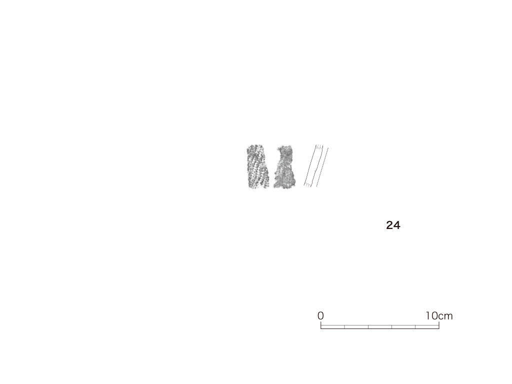 図版画像