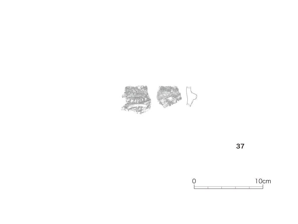 図版画像