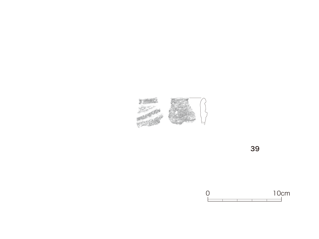 図版画像