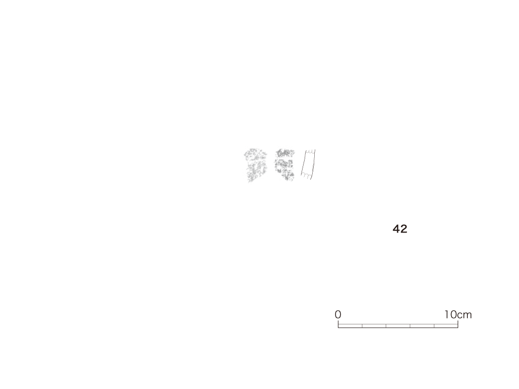 図版画像