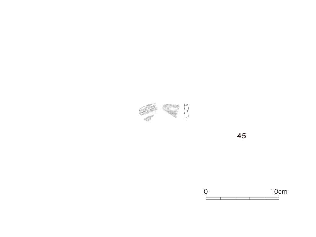 図版画像