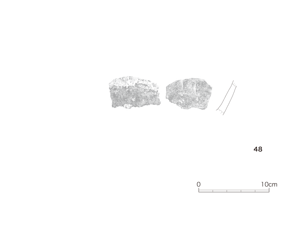 図版画像