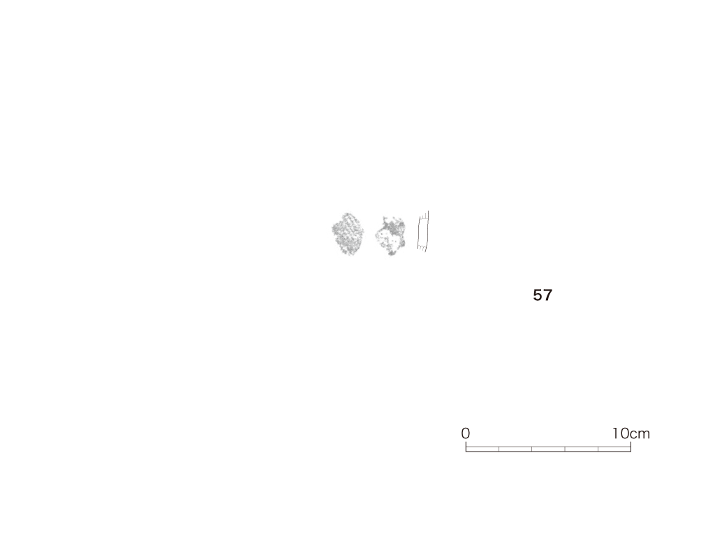 図版画像