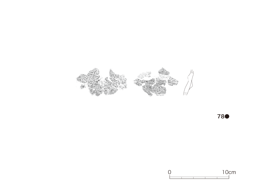 図版画像