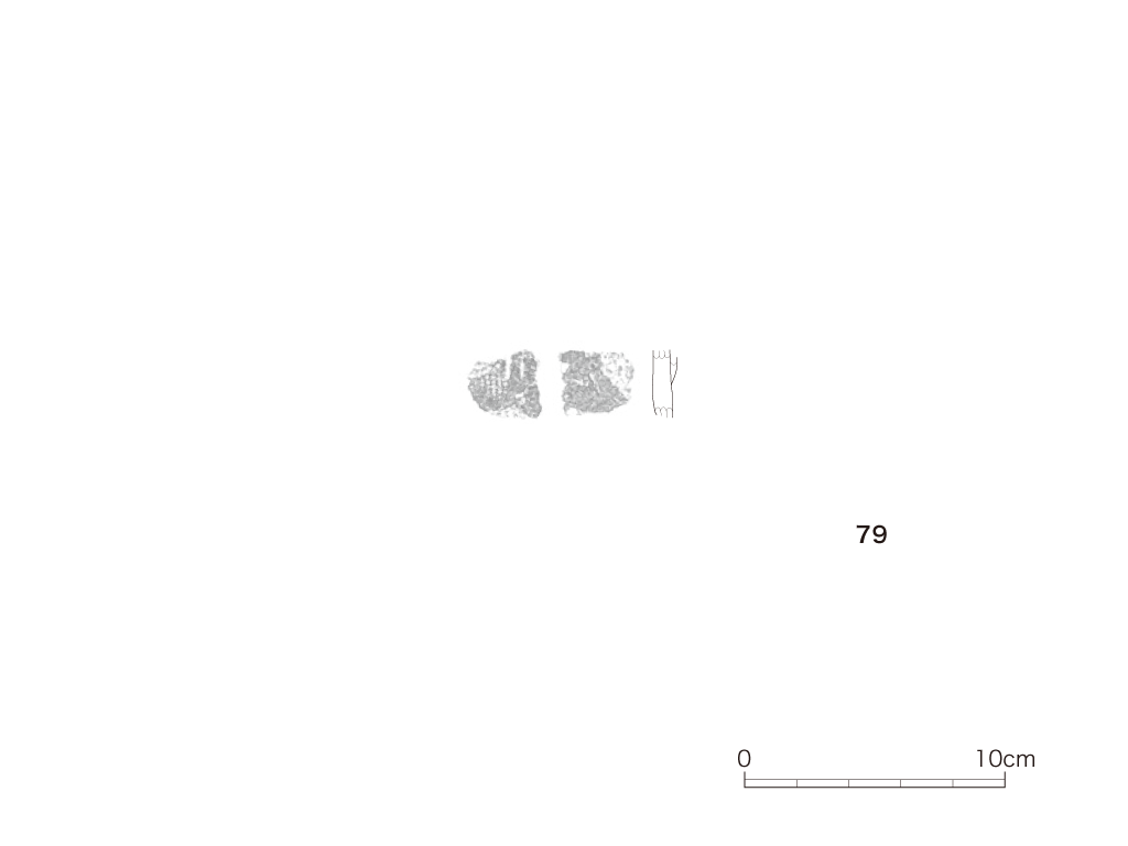 図版画像